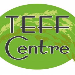 Logo Teffcentre