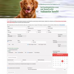 Frontend-torenhoeve.jpg