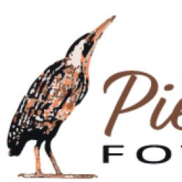 Logo Pieter Bosch Fotografie