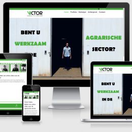 Victor Video