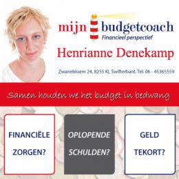 Flyer budgetcoach